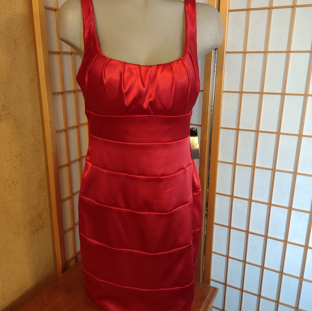 Bisou Bisou, NEW, red dress, sz 10.